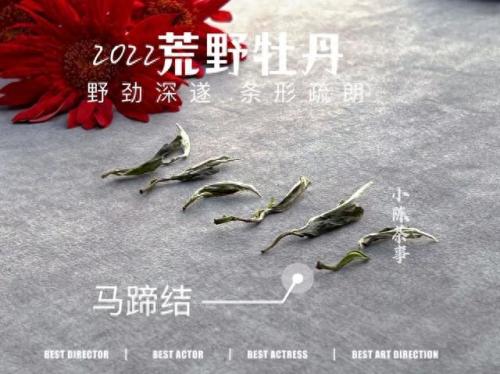 福鼎地下室防水排名前十(乳山地下室防水哪家好)插图7