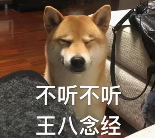 狗名字排行榜(狗狗名字霸气独特)插图6
