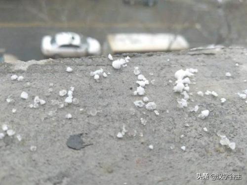 雹组词拼音(揪组词两个字的词语)插图19