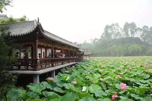 乐山婚庆酒楼排名前十(乐山上档次的中餐酒楼)插图44