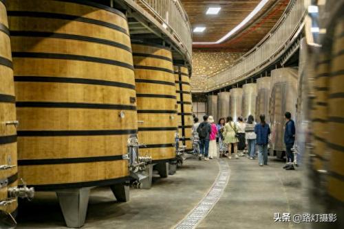 福建品质葡萄酒排名前十(精酿葡萄酒排名前十名品牌)插图8