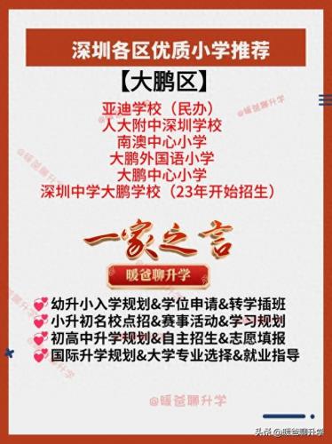 深圳思明区小学排名前十(深圳各区排名前五小学)插图7