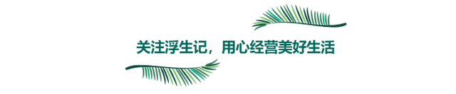 洋甘菊护肤品排行榜(修复屏障最好的护肤品)插图