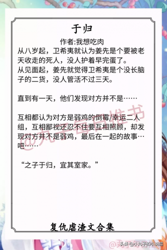 古代复仇小说排行榜(十部顶级耐看重生复仇小说)插图5