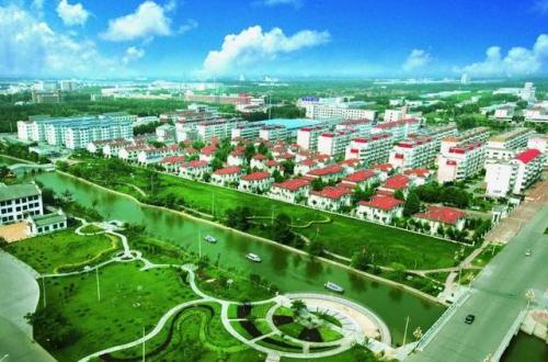 德州蛋白企业排名前十(德州公司排名)插图2