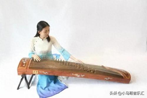 十大乐器排行榜二胡(重庆乐器店二胡价格)插图1