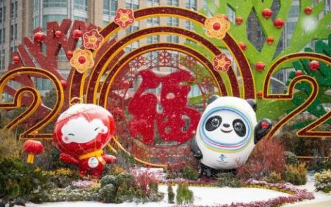 dnf毛皮搜集专家任务怎么做(dnf材料收集达人怎么完成)