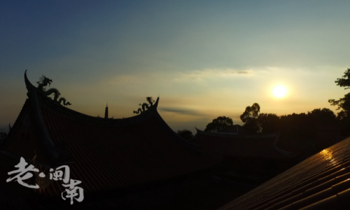 晋江茶叶厂家排名前十(福建知名茶叶企业有哪些)插图15