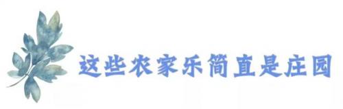 三圣乡农家乐推荐排行榜(三圣乡十大网红农家乐)插图26