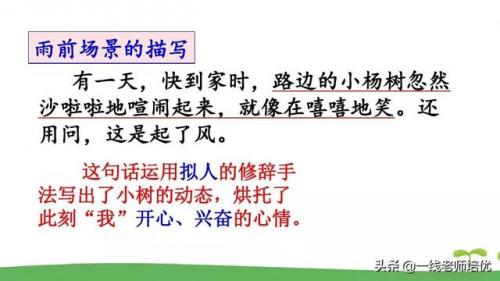 了望的读音(望是多音字吗)插图27