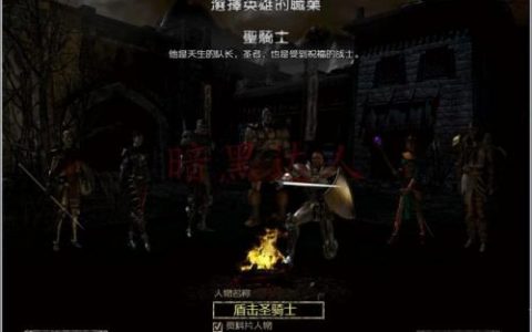 火炬之光2圣骑士加点(火炬之光2 法师加点攻略)