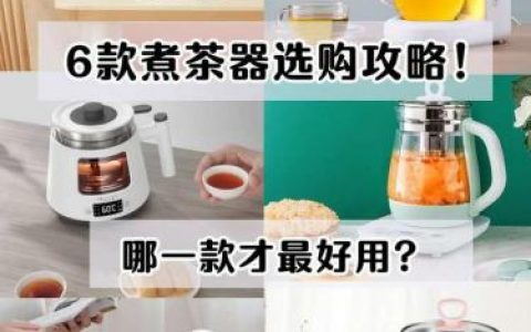 煮茶器品牌排行榜(煮茶器哪个牌子质量好怎么用)
