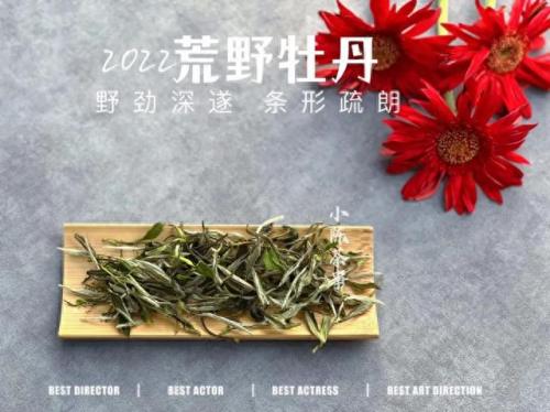 福鼎地下室防水排名前十(乳山地下室防水哪家好)插图5