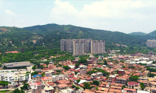 晋江茶叶厂家排名前十(福建知名茶叶企业有哪些)插图20