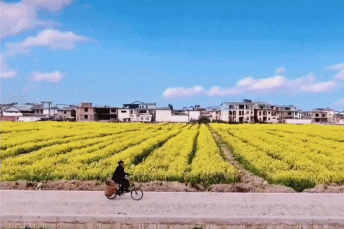 中国最低调的县城排名前十(全国最低调的县排名)插图1