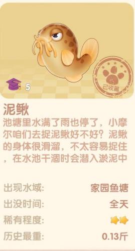 摩尔庄园雪獭出现时间(摩尔庄园雪獭是雨天还是晴天)插图4