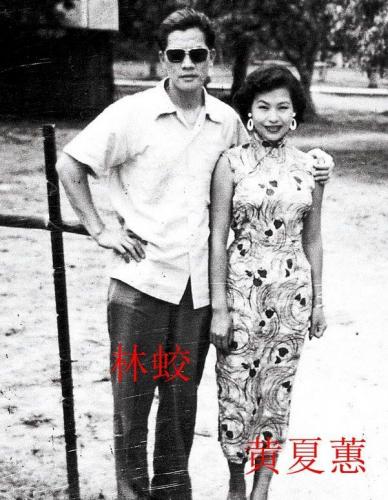 明星整容失败案例(因为整容而毁容的明星有哪些)插图5