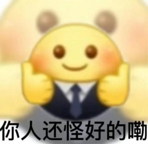 成都简约豪宅排名前十(成都最贵豪宅)插图25