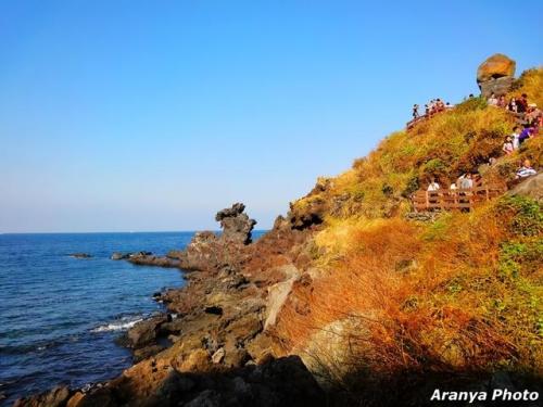 济州岛旅游攻略(济州岛必去的十大景点)插图21