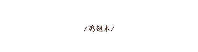 木制品有哪些(木头做的东西都有哪些)插图28