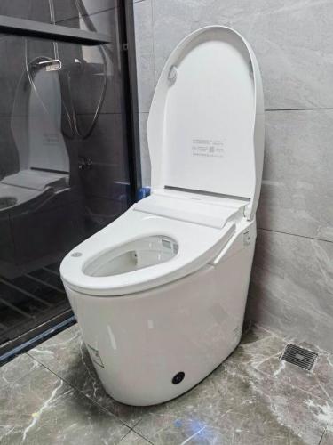 智能座便器排行榜(十大智能坐便品牌)插图5