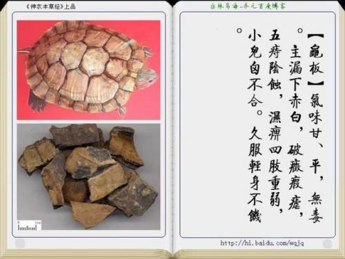 本草纲目中药大全(12000种中草药大全)插图9