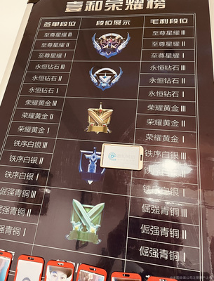 游戏十大称号排行榜图片(和平精英排行榜称号图片)插图3