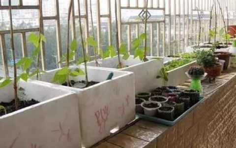 种菜赚钱十大游戏排行榜(农场种菜赚钱可以提现的游戏)