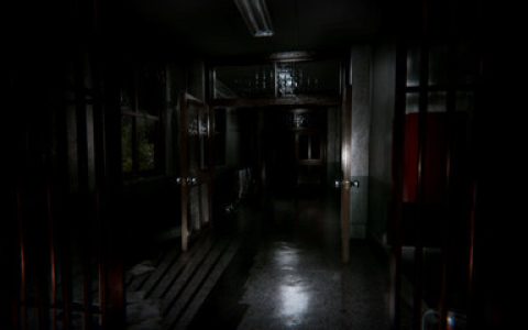 中国十大恐怖游戏排行榜(steam恐怖游戏排行榜)