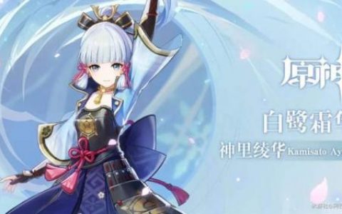 凌华阵容搭配怎么打伤害(原神神里绫华最强阵容)