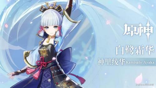凌华阵容搭配怎么打伤害(原神神里绫华最强阵容)插图