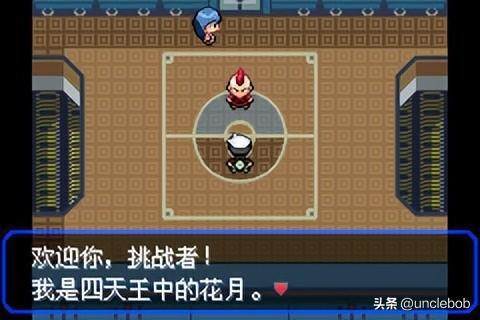 绿宝石夺冠阵容怎么搭配(口袋妖怪绿宝石最强组合)插图9