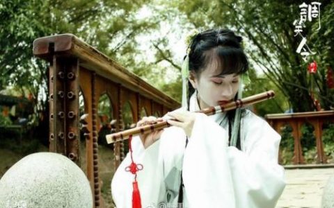 双圣时光阵容怎么搭配好(卡牌仙圣奇缘最强阵容)