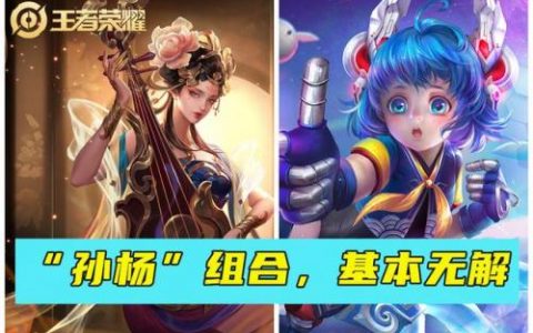 隐身五排阵容怎么搭配好(王者荣耀最强五排阵容)