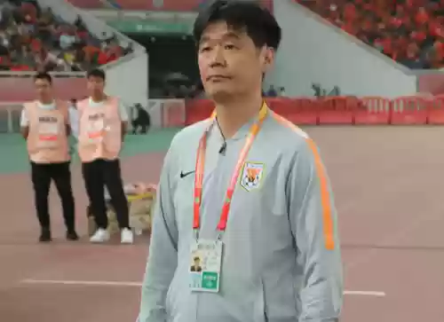 泰山豪华阵容搭配插图2