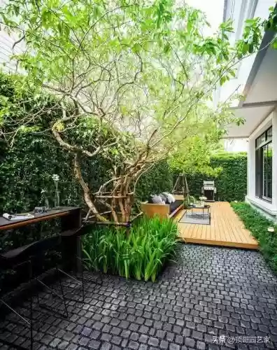 花园战争3植物阵容搭配插图5