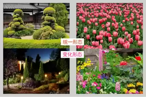 创意庭院超强植物阵容搭配插图5