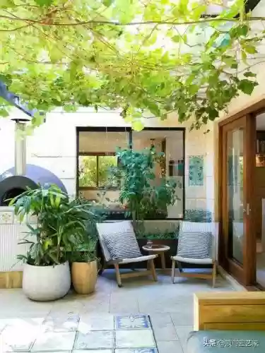花园战争3植物阵容搭配插图16