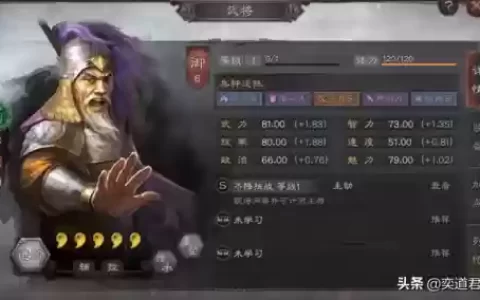 严颜阵容搭配