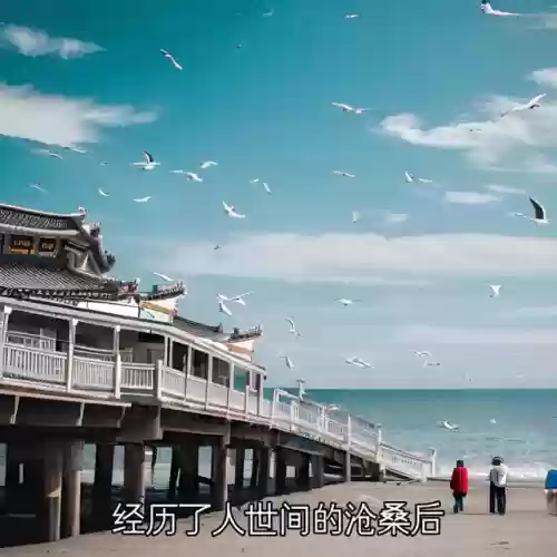 灵魂摆渡孟婆搭配什么阵容插图2