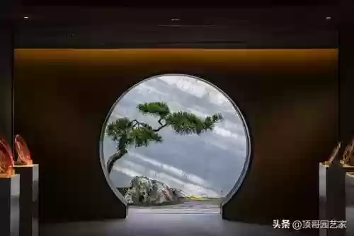 花园战争3植物阵容搭配插图9