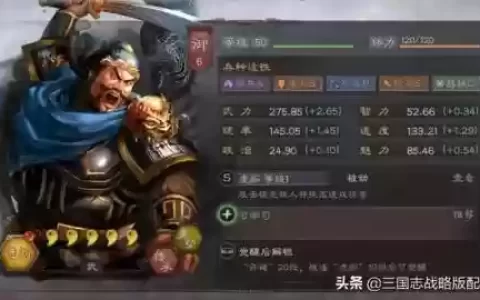 许褚搭配什么阵容最强