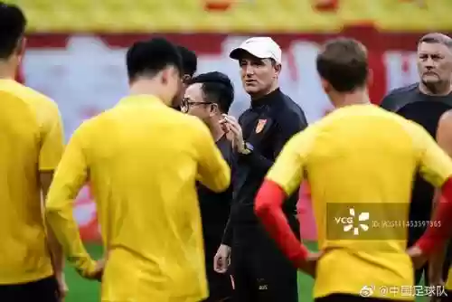 中国1 2叙利亚阵容搭配插图2