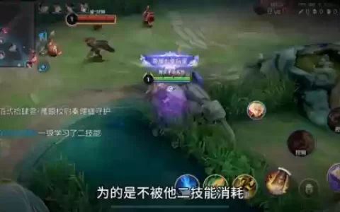 李信和苏烈阵容搭配