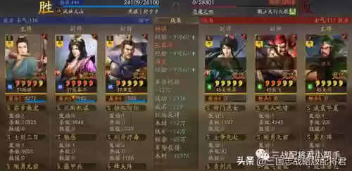 对战女王阵容怎么搭配插图2