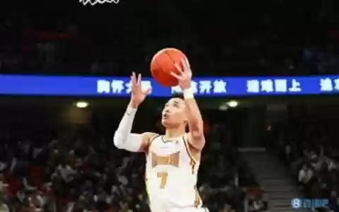 职业赛最强搭配阵容