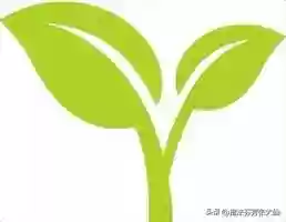 阵容搭配打野插图5