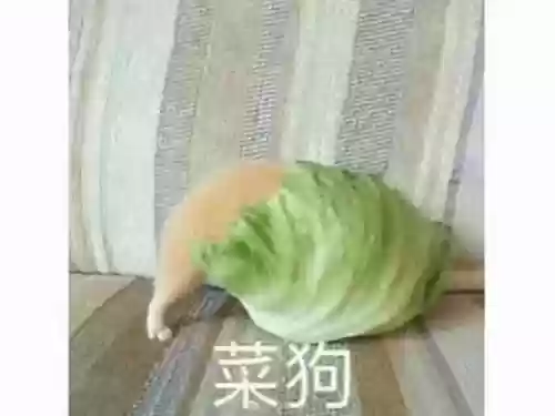 忍者新世代打幻象阵容搭配插图13