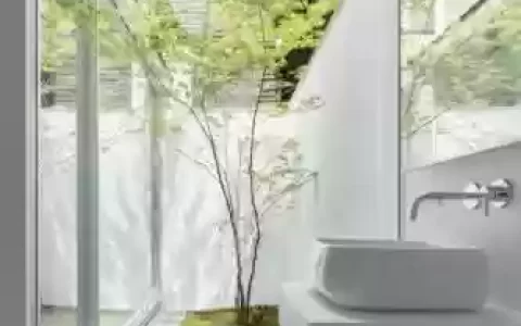 花园战争3植物阵容搭配