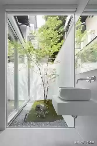 花园战争3植物阵容搭配插图